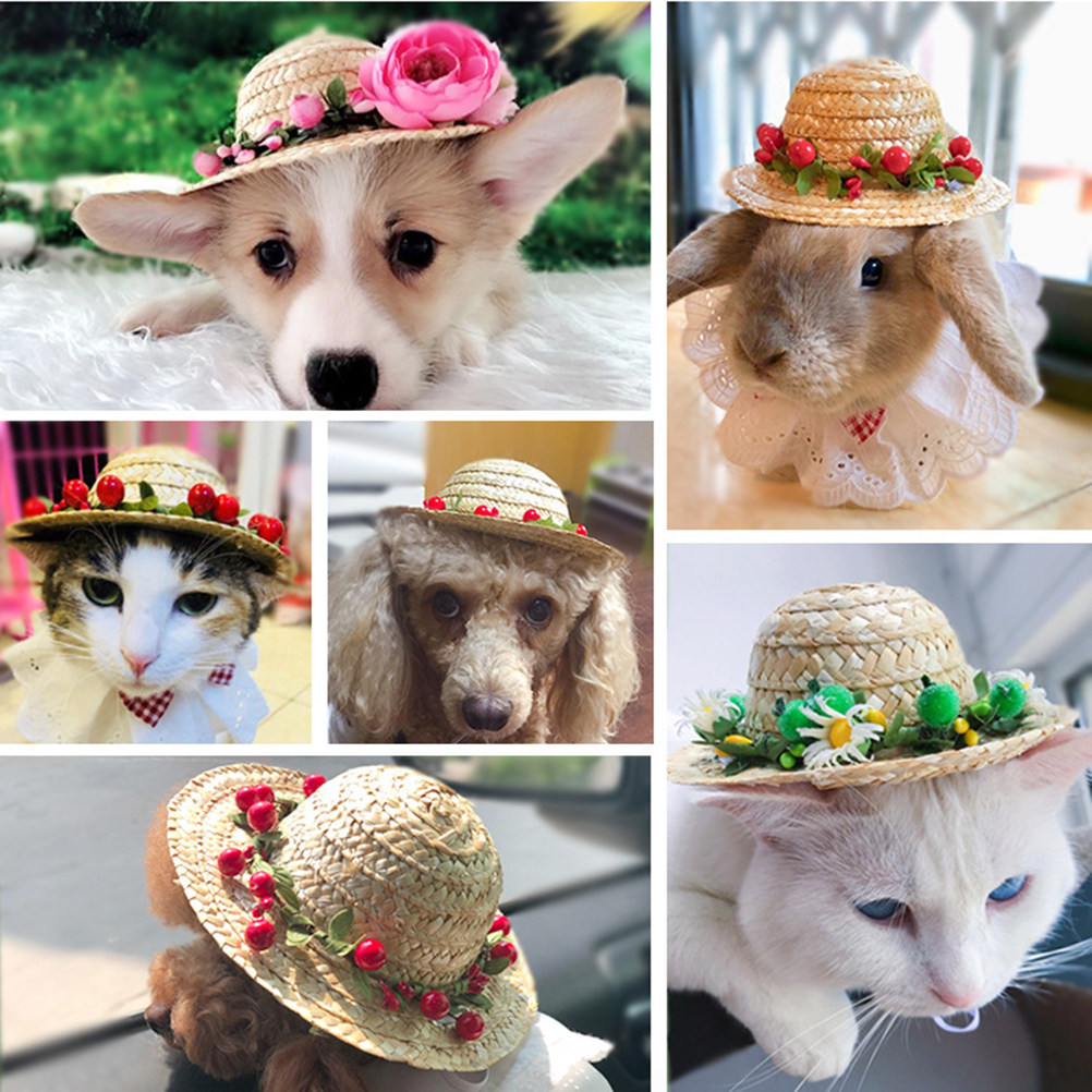 Pet Straw Hat for Dogs Cats Sm - огляд і ціна Straw Hat Summer