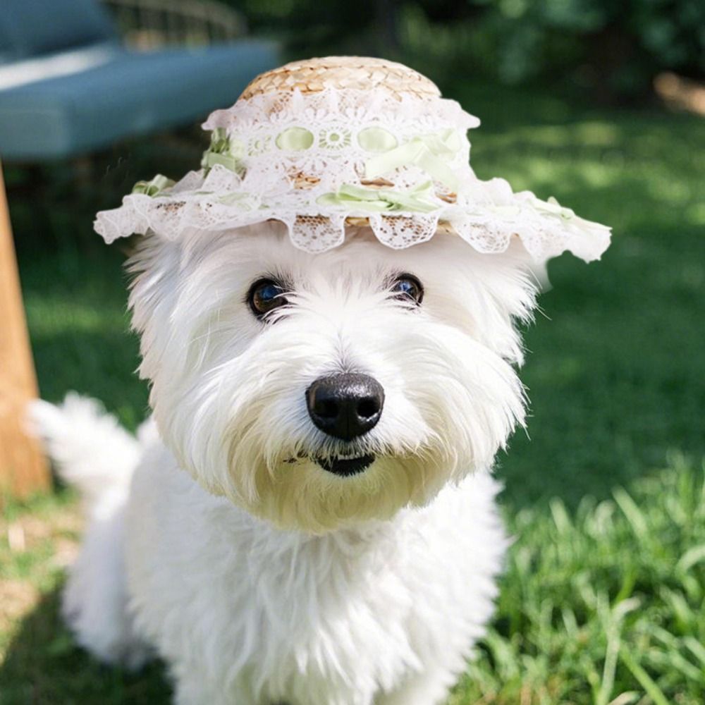 Pet Outdoor Supplies Princess  - огляд і ціна Straw Hat Summer